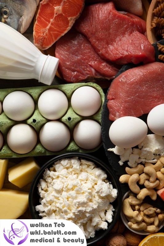 معرفی ۱۰ ماده غذایی با پروتئین بالا